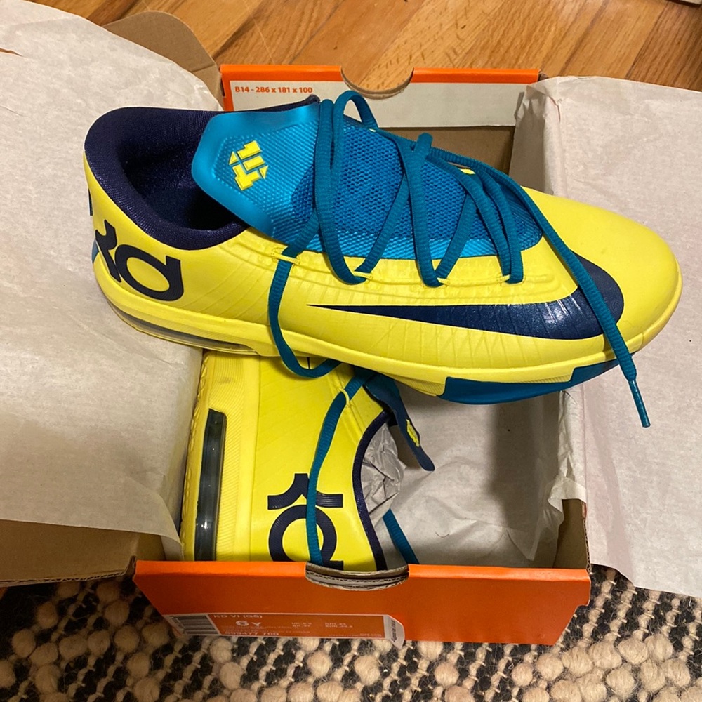 6Y KD